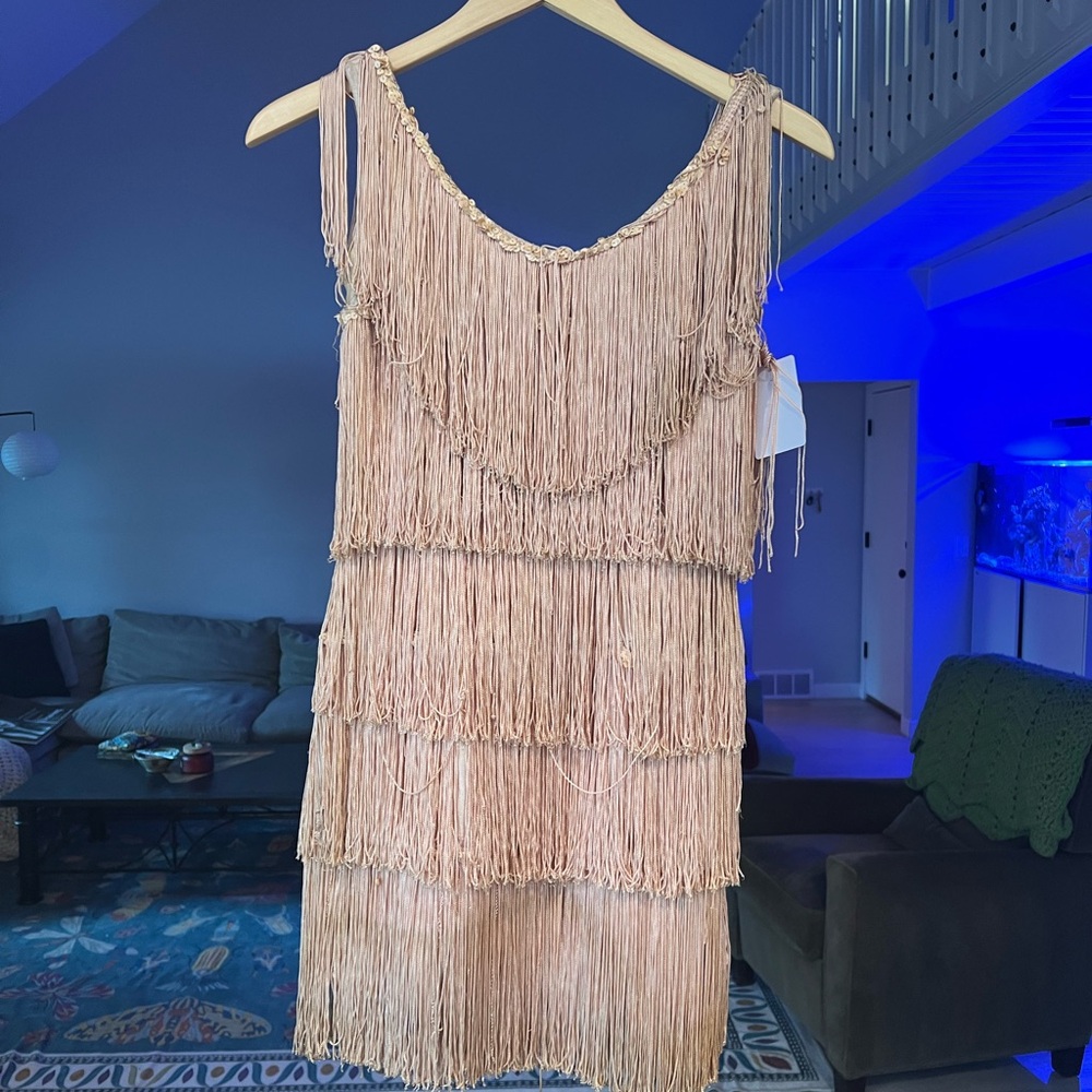 ANTIQUE historic flapper dress